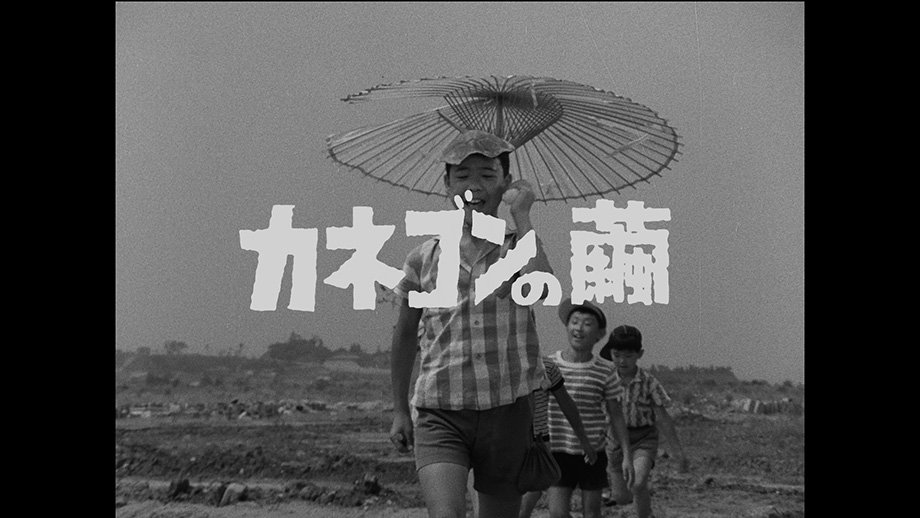ULTRAMAN ARCHIVES「ウルトラQ」「カネゴンの繭」4K上映
